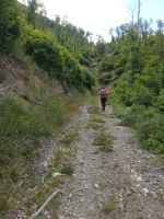 Sentiero_adottato_2020 (16)